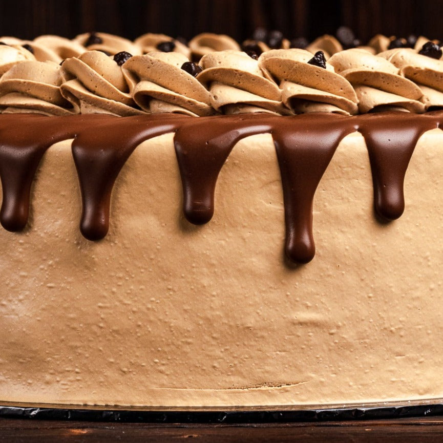 Chocolate Chip Mocha Cake