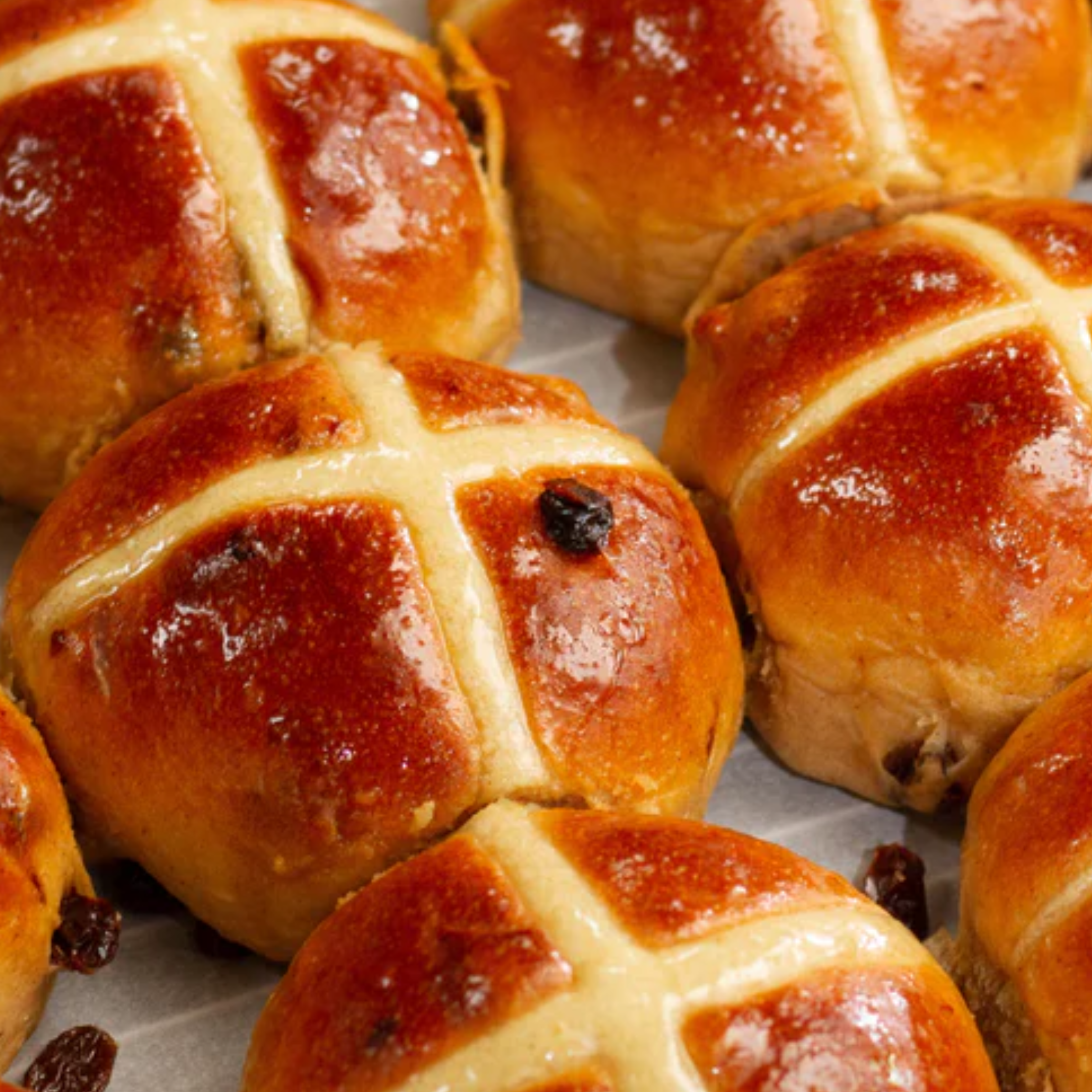 Hot Cross Bun